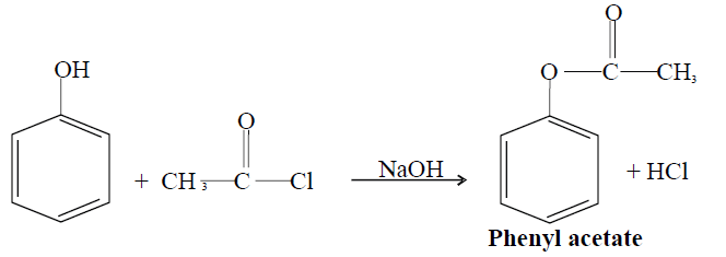 phenol to phenylacetate. 