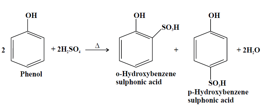 sulphonation of phenol