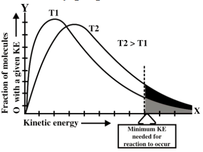 effect of temperature on rate of reaction
