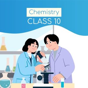 Class 10 Chemistry
